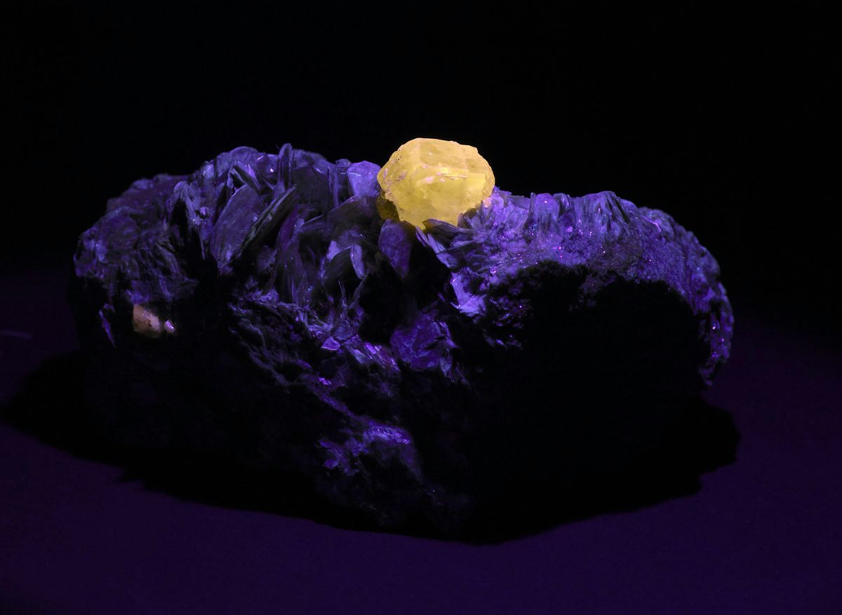 A Marvelous Night of Minerals: An \u2018Earthly Matters\u2019 Opening Celebration