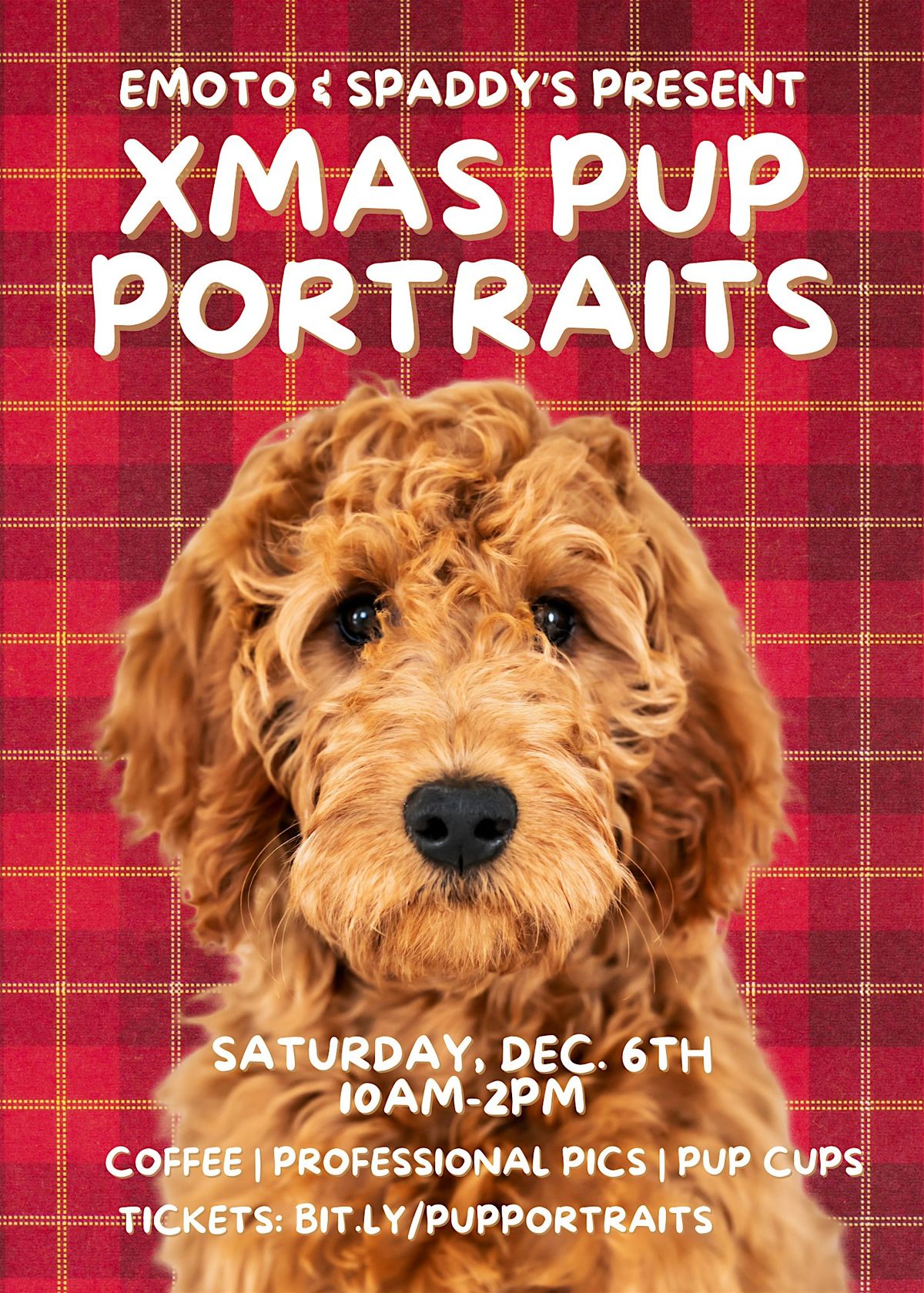 XMAS PUP PORTRAITS