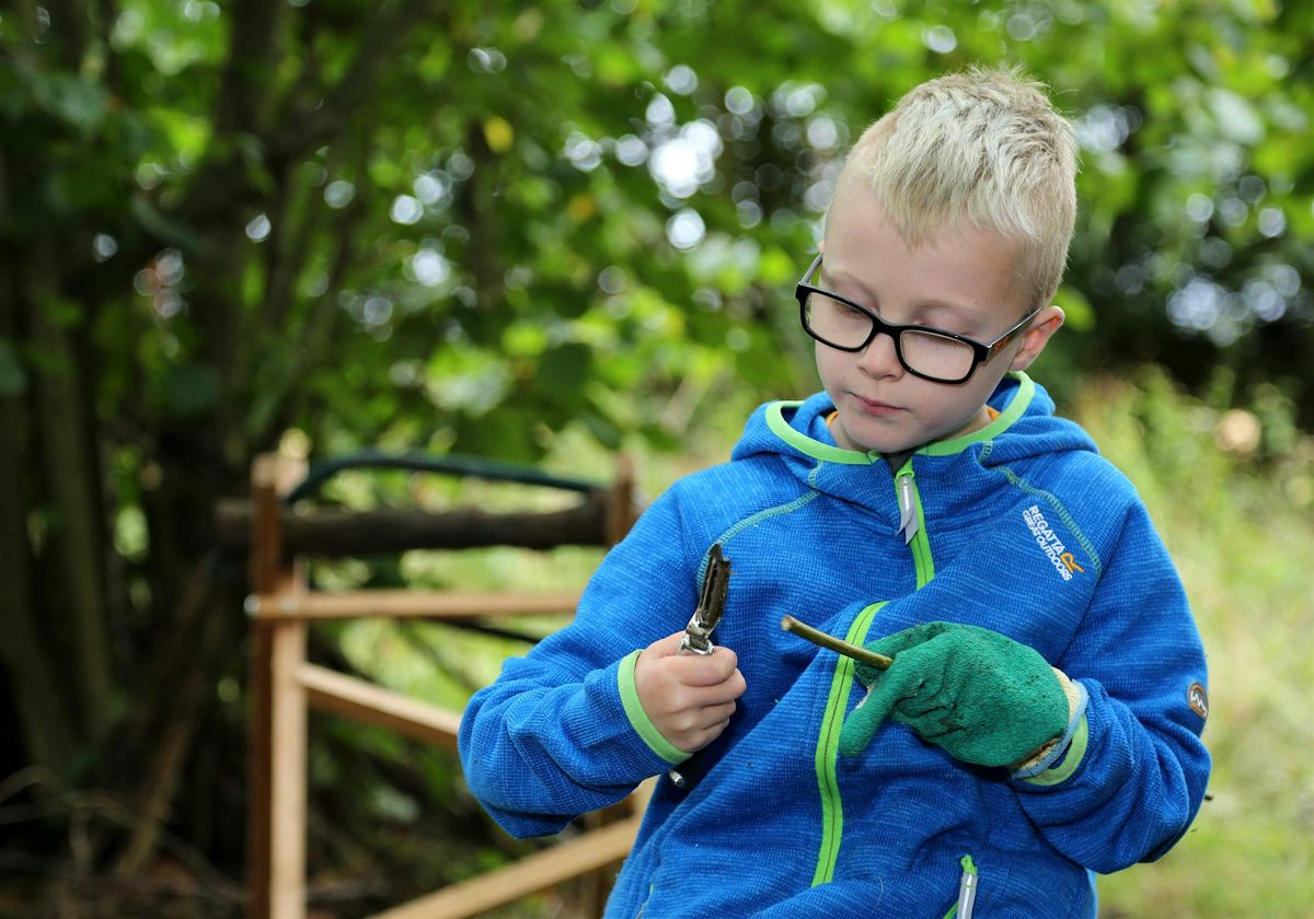 Belfairs Viking Adventure