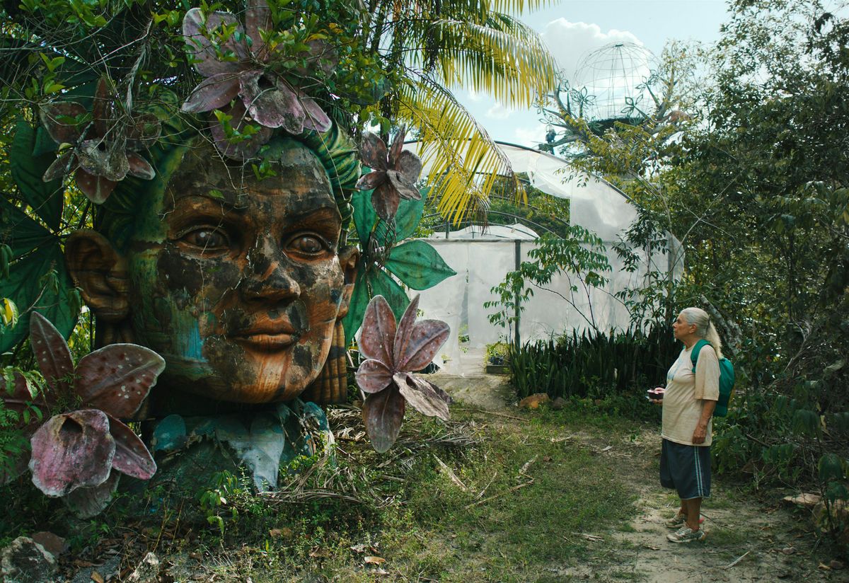 17th BRAVO screening: THE BLUE TRAIL \/ O \u00daLTIMO AZUL (90')