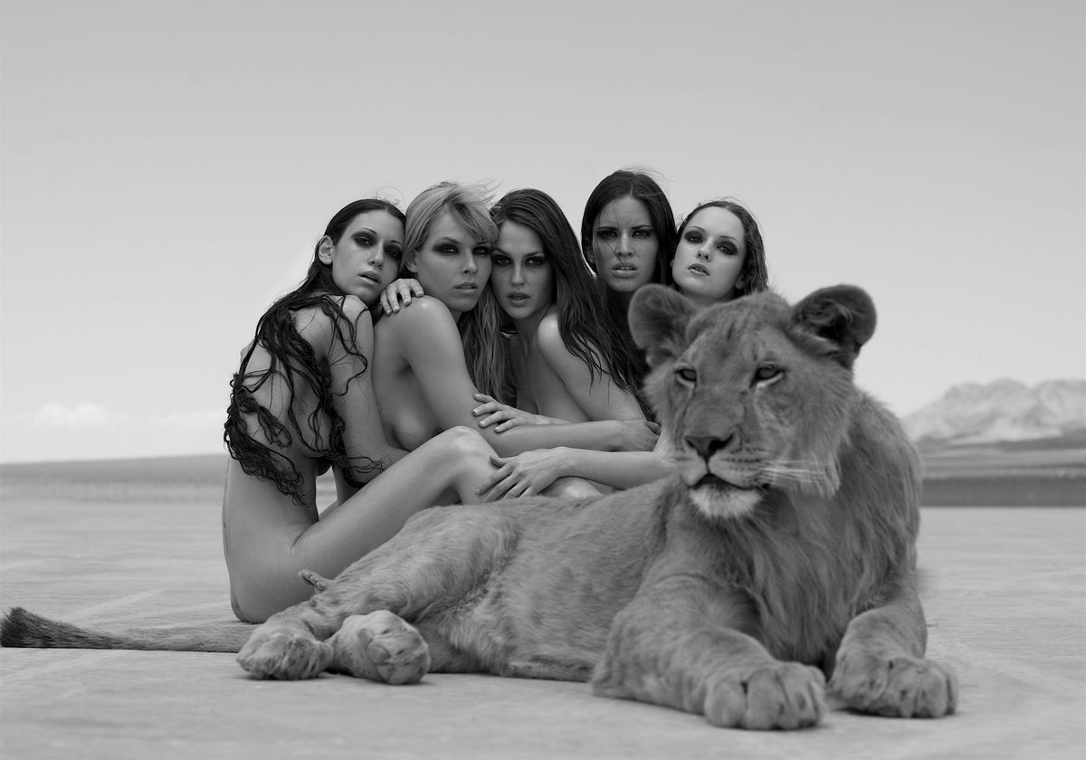 SYLVIE BLUM\/WILD BEAUTY Artist Talk\/Book Signing 11\/23\/25