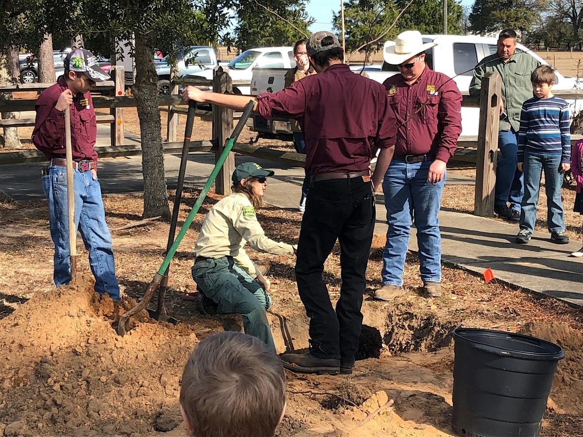 1-10-2026 Selecting & Planting Trees: Right Plant, Right Place