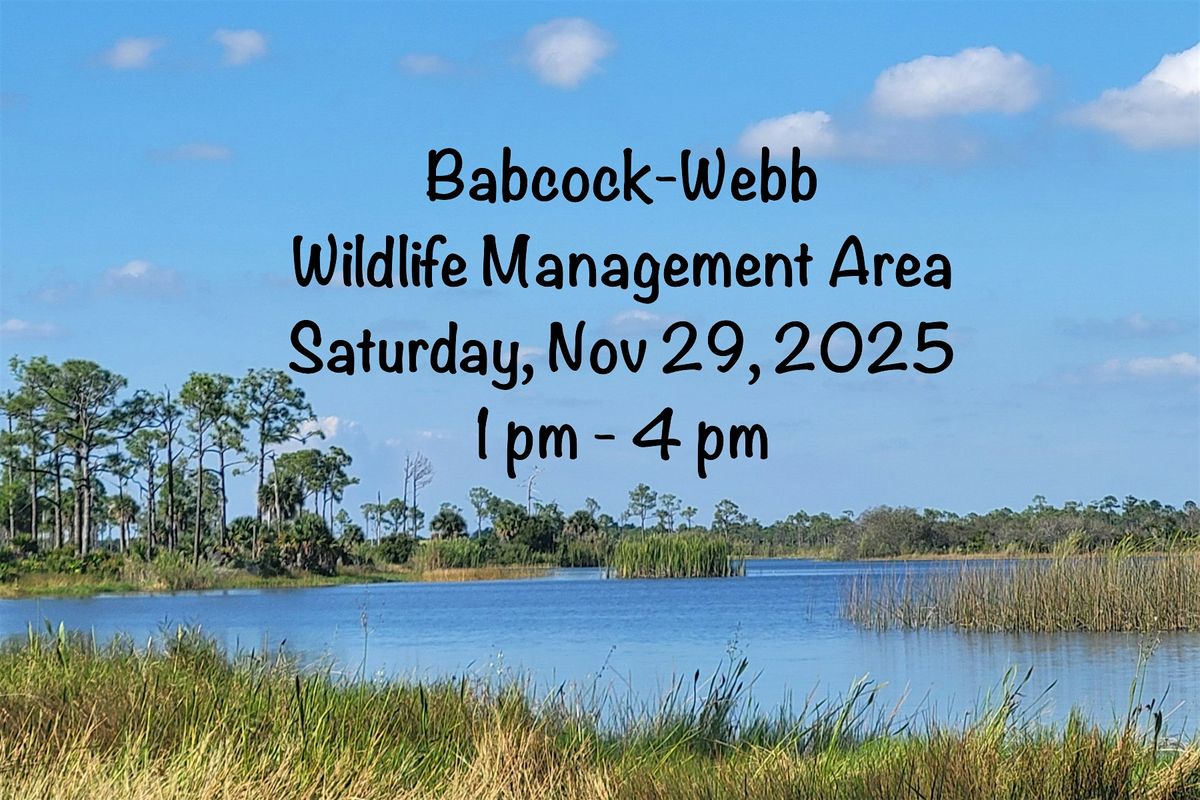 Painting & a Picnic at Babcock-Webb Wildlife Management Area