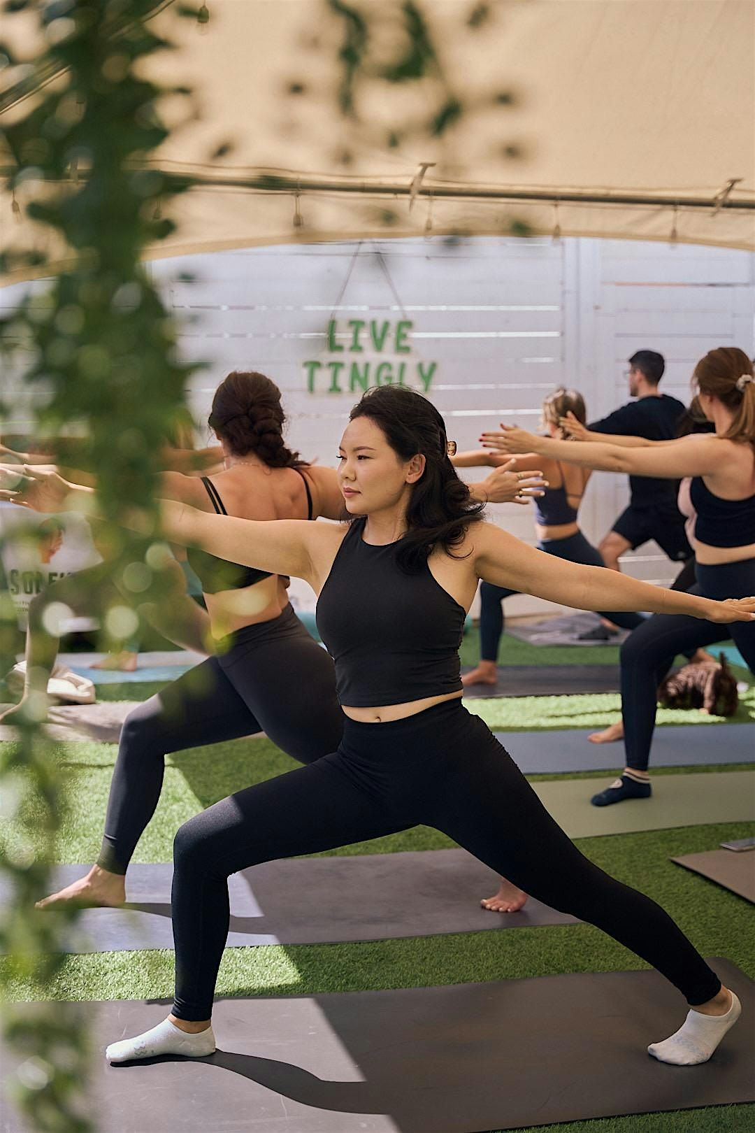 Morning Yoga & Kava Nectar Wellness Ceremony in Santa Monica