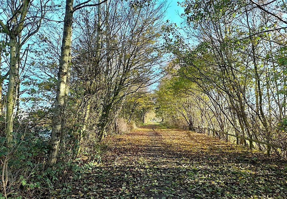 Volunteer day at the Lymm Railway Line