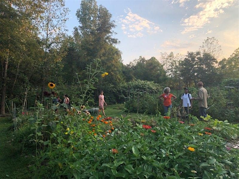 Pest and Disease ID Walk: Manchester Community Farm