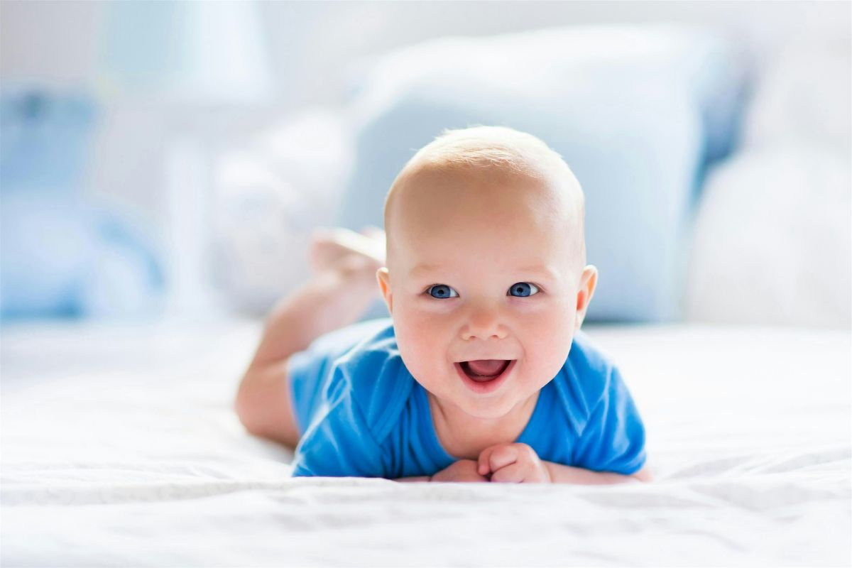 Baby Basics - Porter