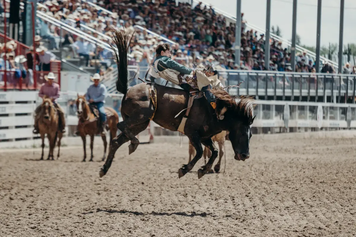 National Western Stock Show - Mexican Rodeo Extravaganza