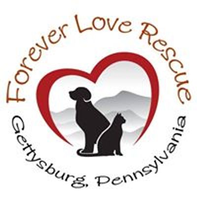 Forever Love Rescue at the Kitty Corner Gettysburg