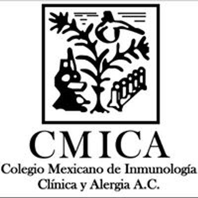 CMICA A.C.