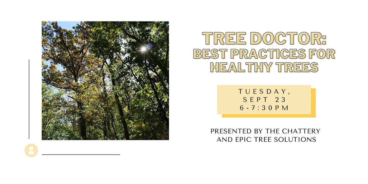 Tree Doctor: Best Practices for Healthy Trees