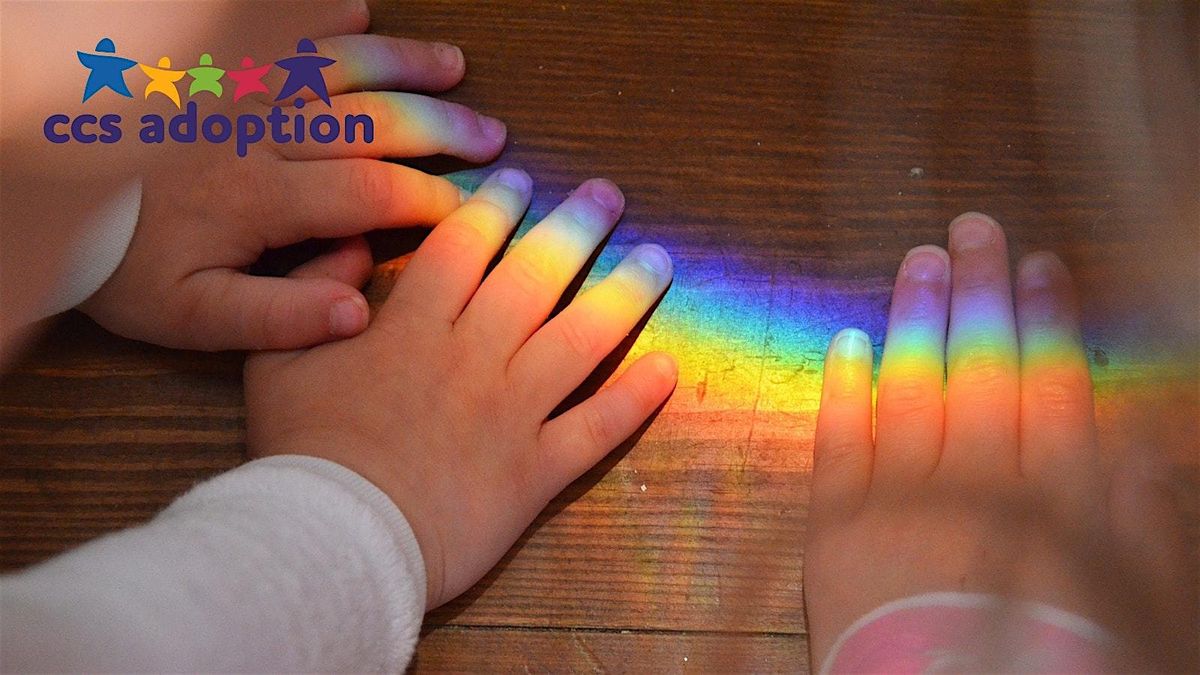 LGBTQ+ CCS Adoption Online Information Event