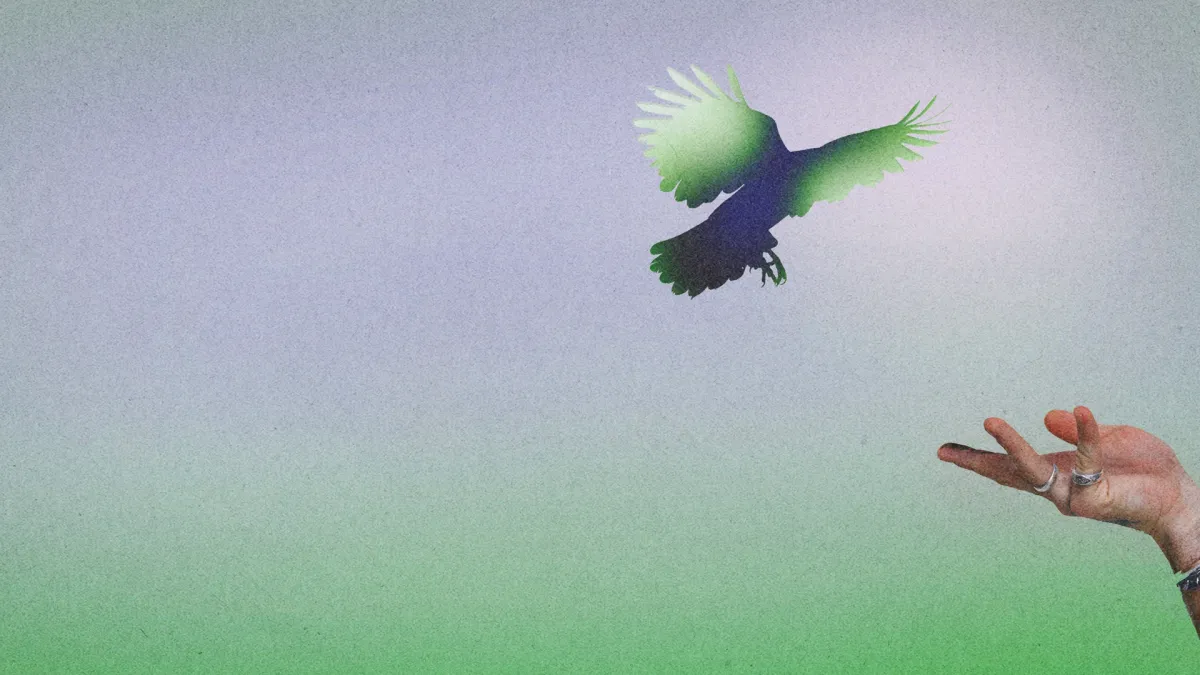 Elderbrook in New York City