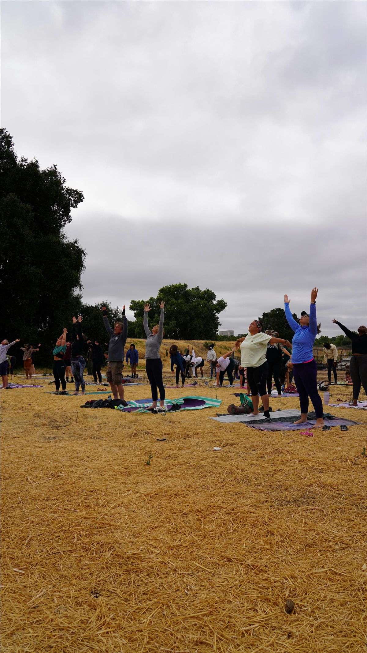 Yoga on the Farm with Ivette Castellanos