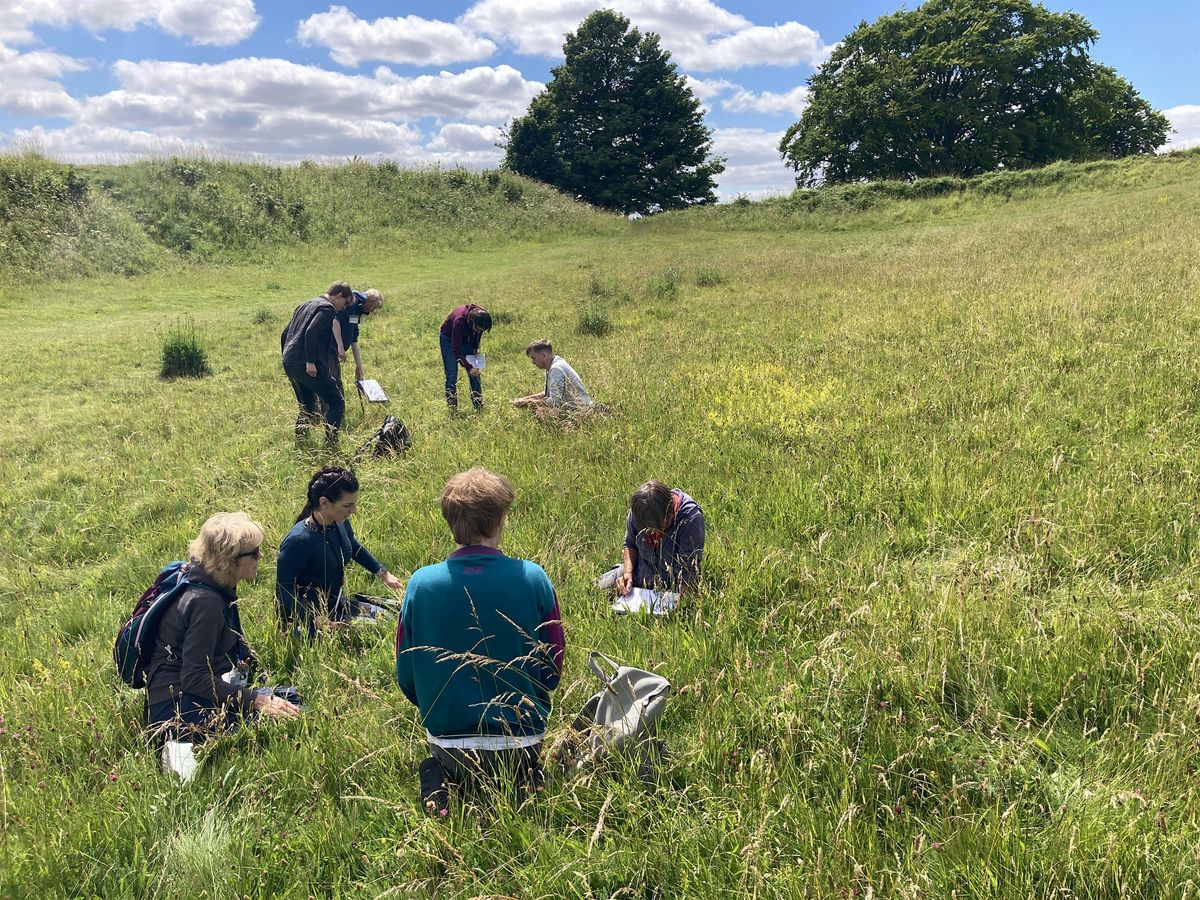 Late Season Grass Identification