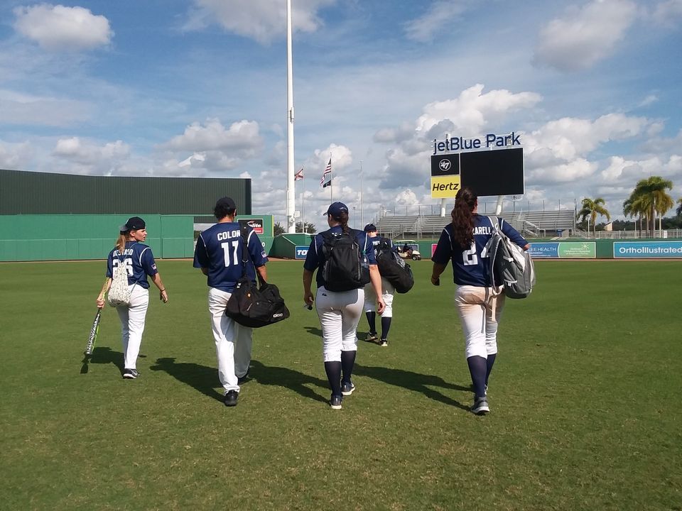 ROY HOBBS WORLD SERIES