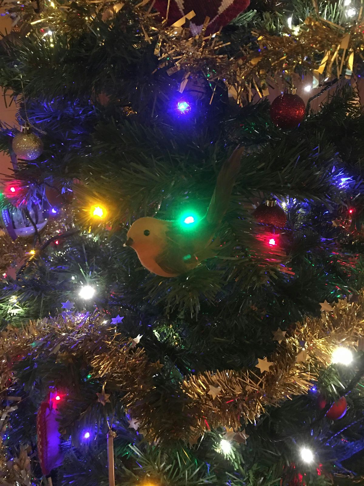 Christmas concert with Tyneside A Cappella and Compass Acapella