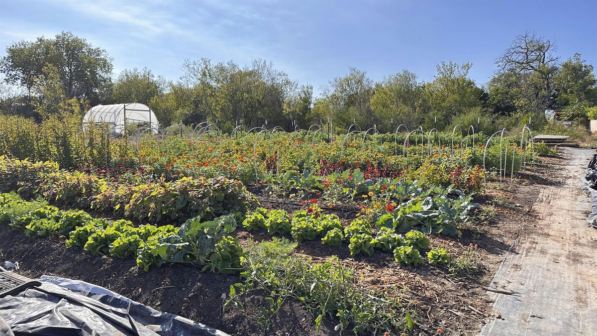 Soil Health: Foundation for Regenerative Agriculture