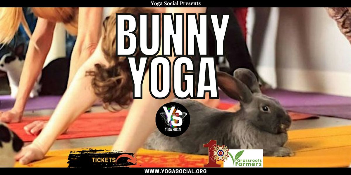 Adoptable Bunny Yoga at VFW Post 1