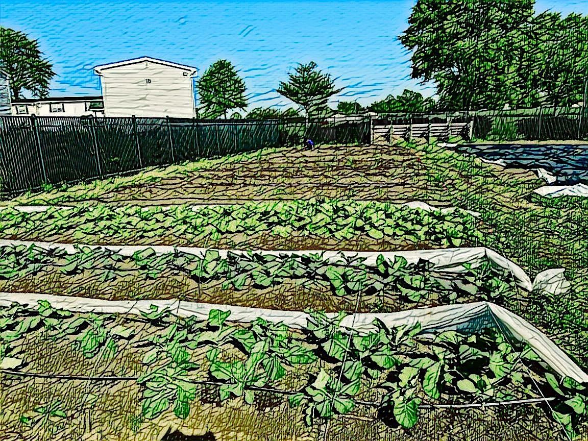 Volunteer Day at Rolling Hills Garden