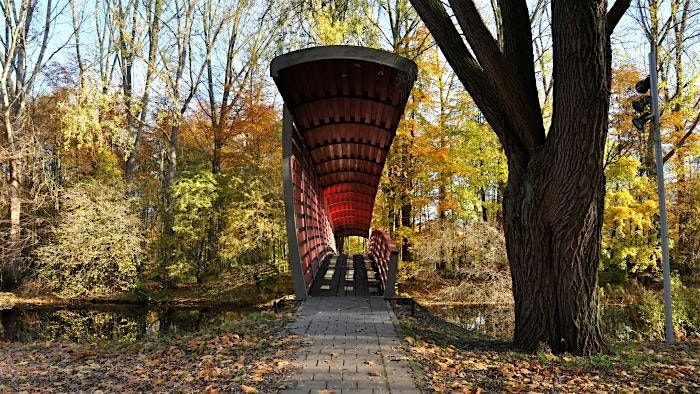 When Men...  Walk & Talk - Dec 2025