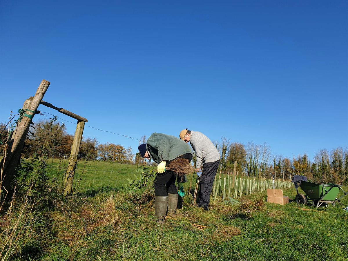 Hedge Planting Action Day - The Hampshire Hedge 27th Nov