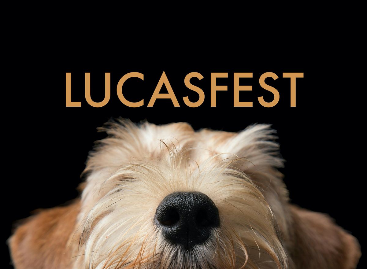 The United Lucas Terrier Association's LUCASFEST 2025