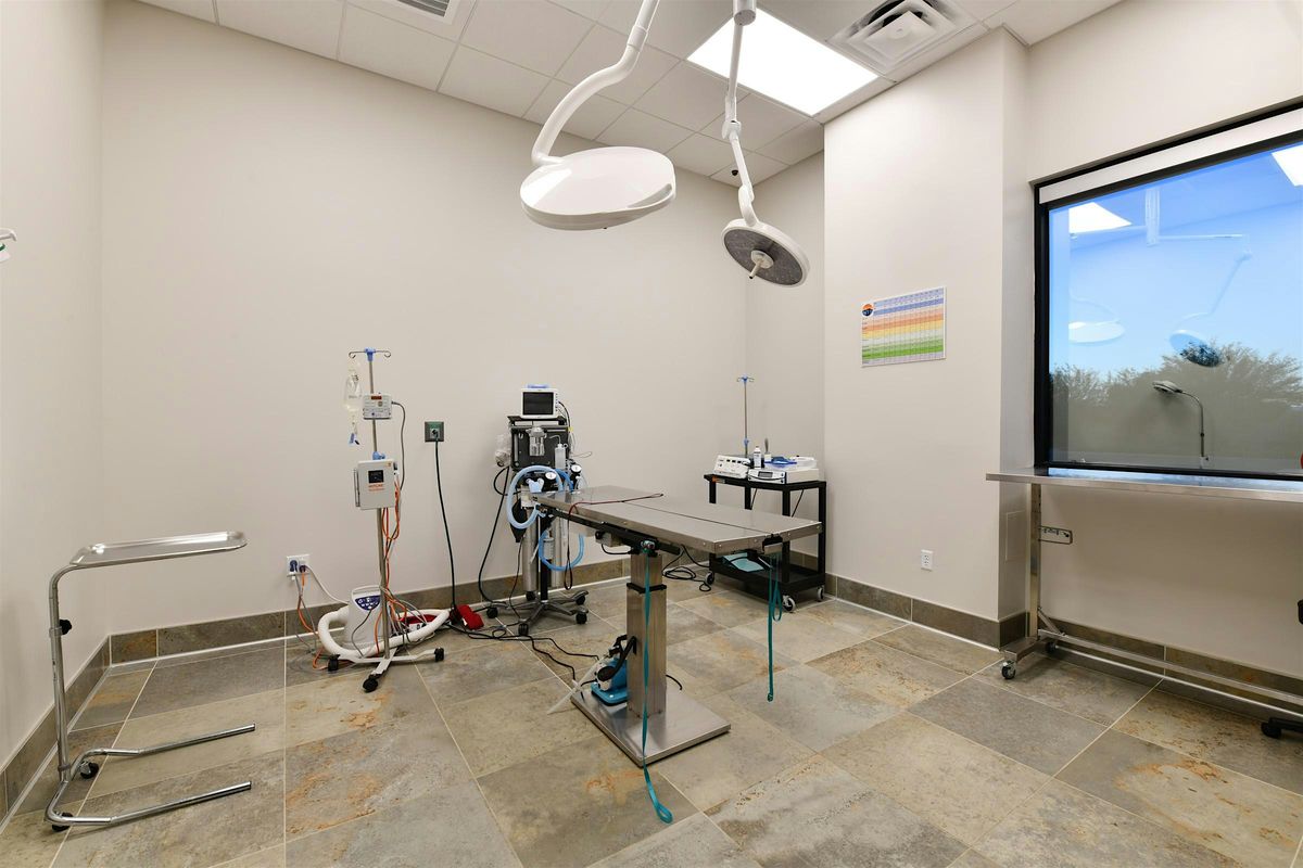 Anesthesia