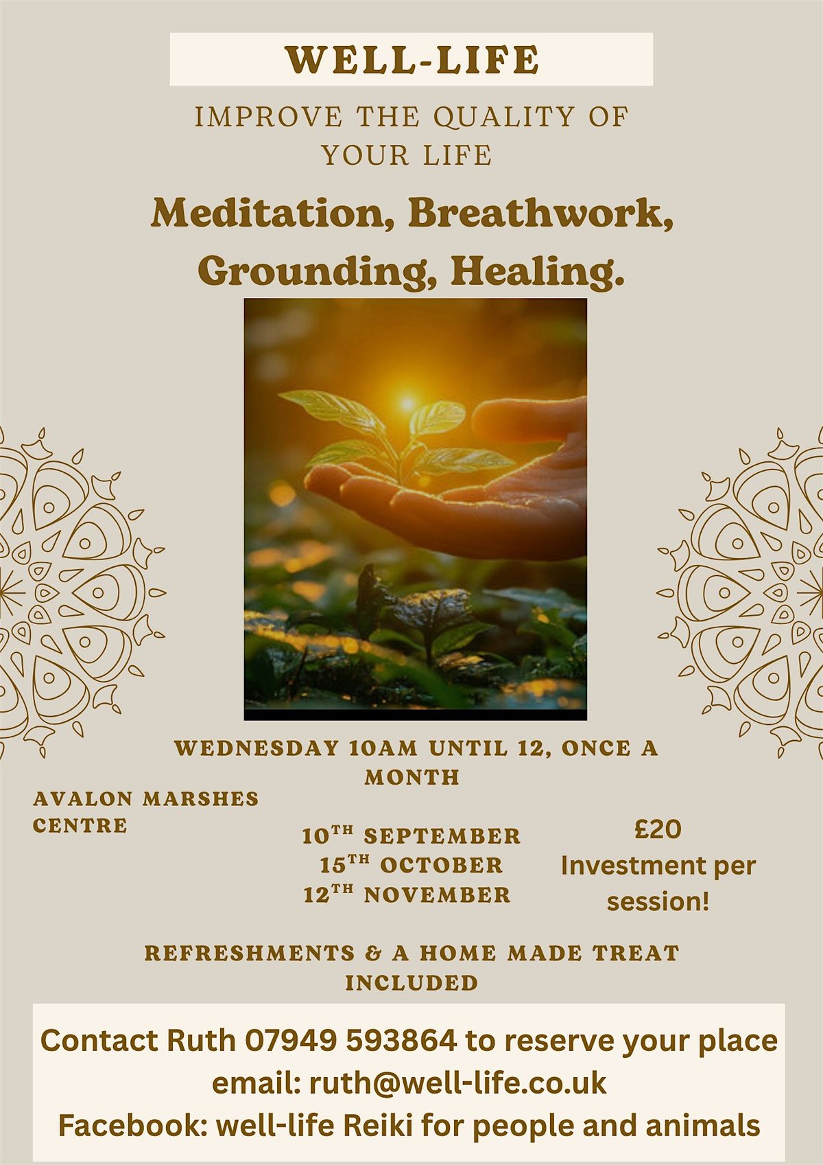 November , Reset, Balance & Healing Workshop