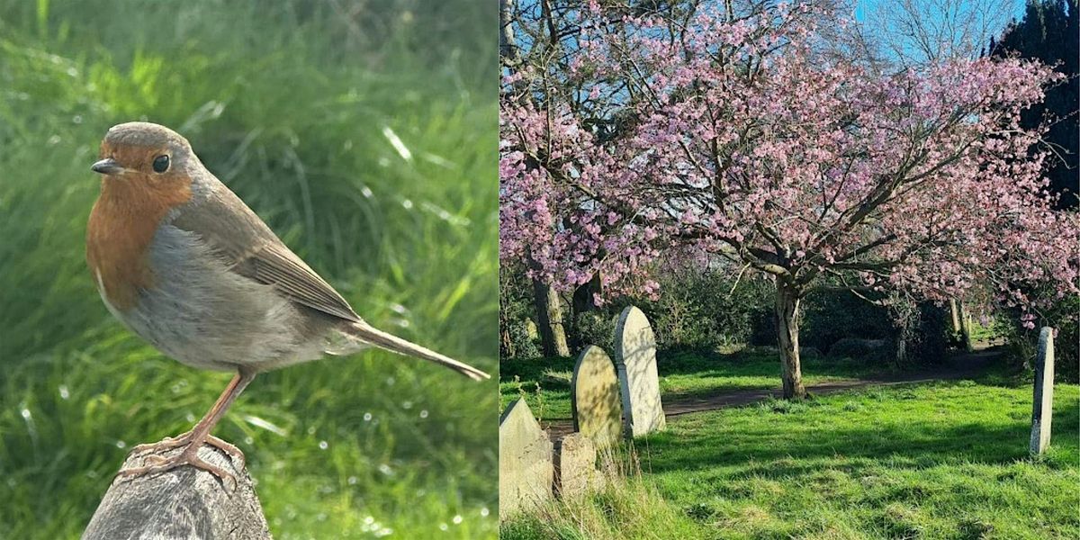 History, nature, mapping and family stories from Mill Road Cemetery