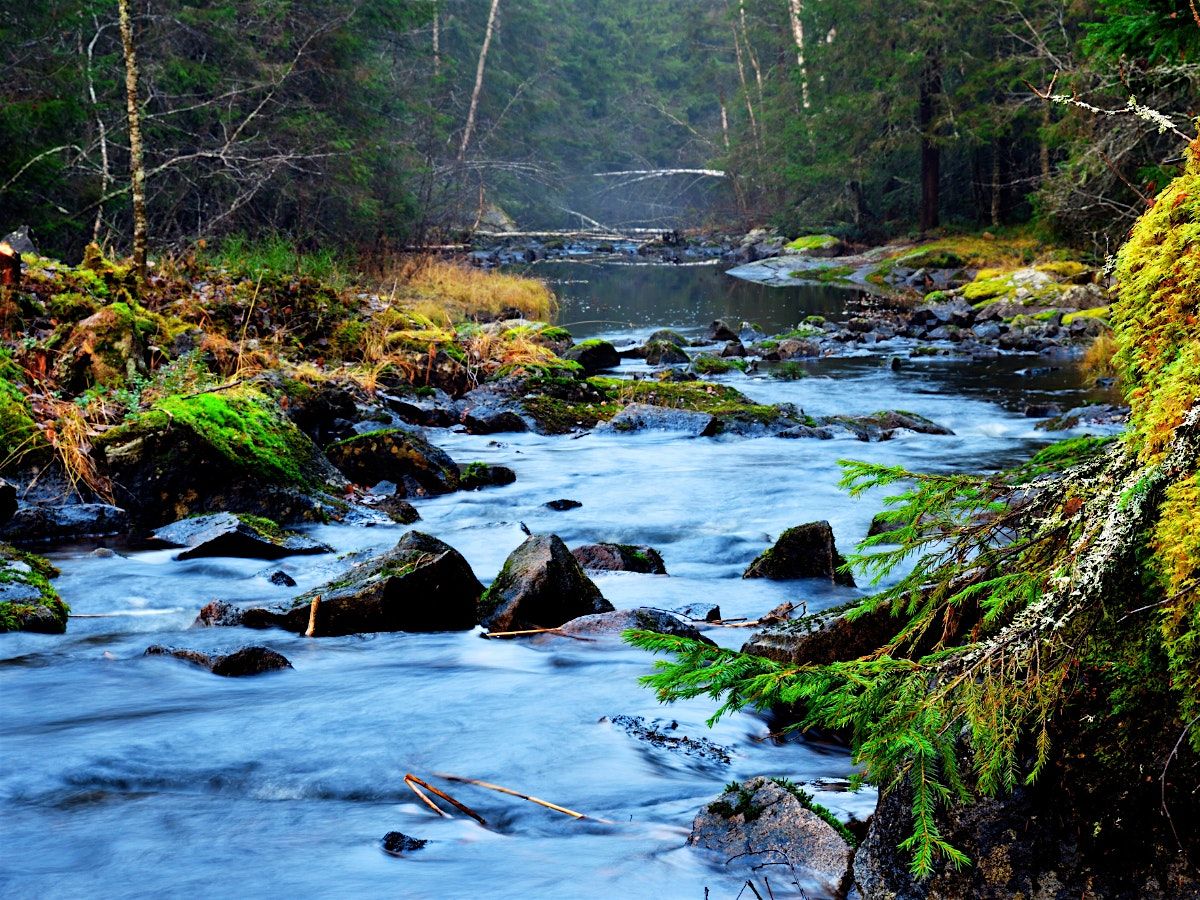 Staying Real and Healthy as We Respond to Suffering