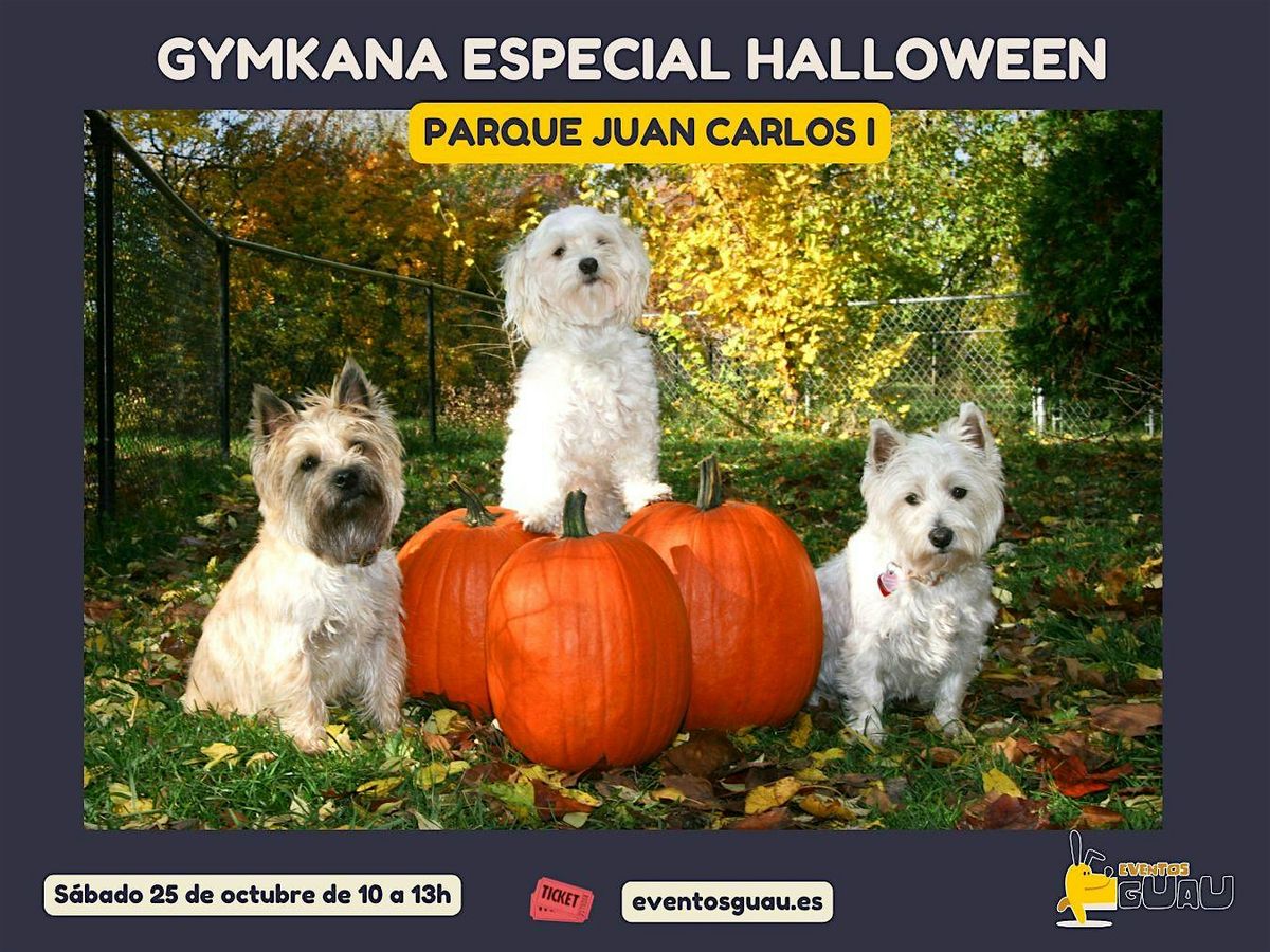 Gymkana especial halloween \u2013 parque Juan Carlos I