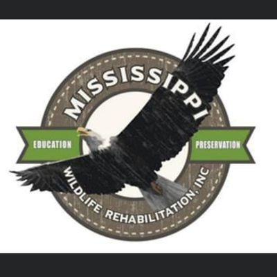Mississippi Wildlife Rehabilitation