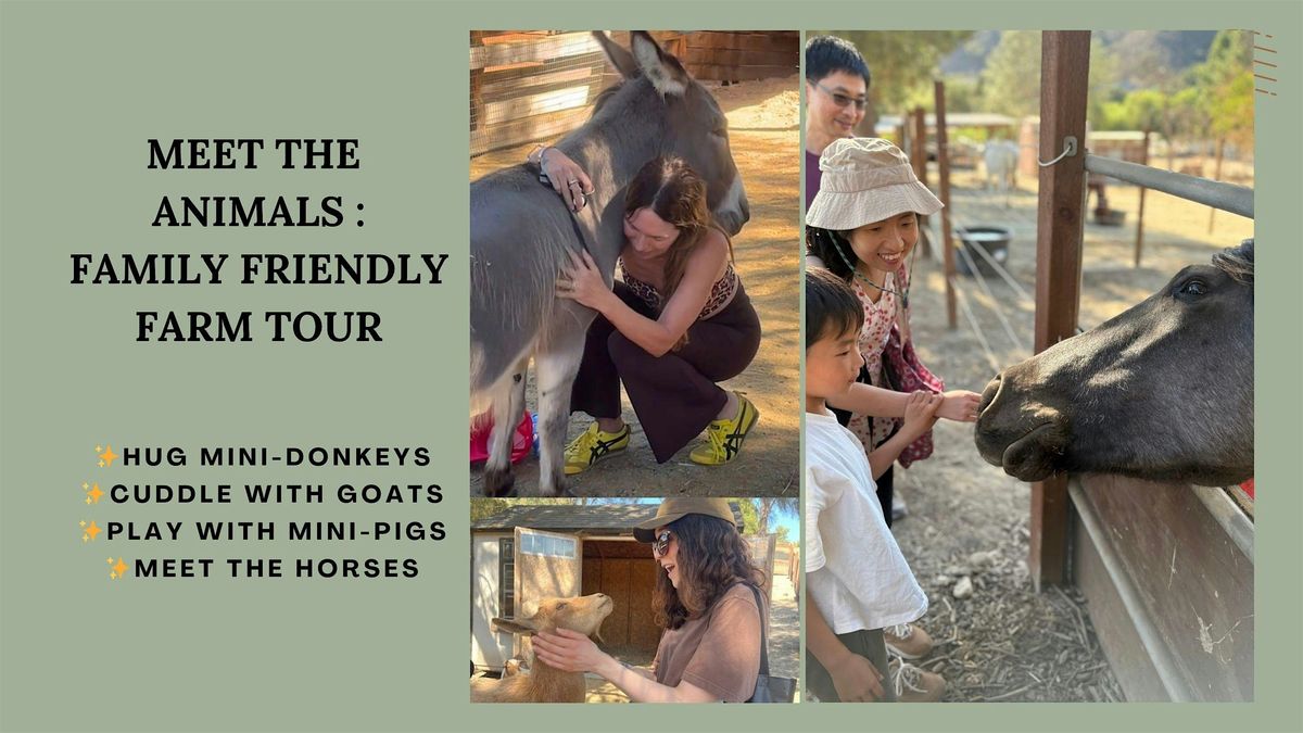 MEET THE ANIMALS KID FRIENDLY FARM TOUR : HUG DONKEYS, GOATS, HORSES + PIGS