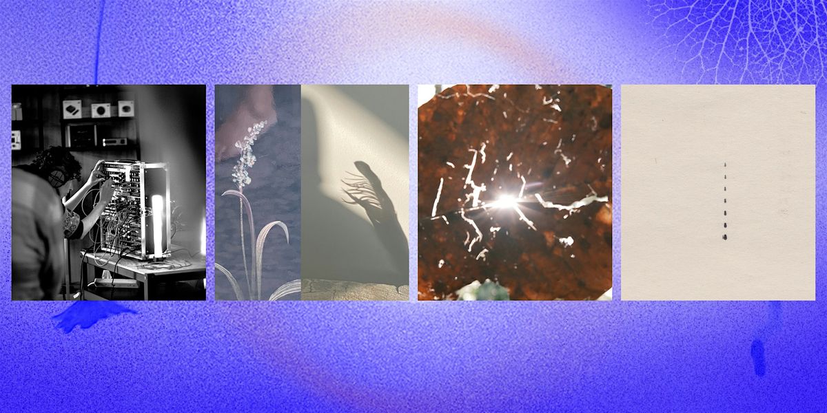 Majlis Talks: Re-seeding Stories