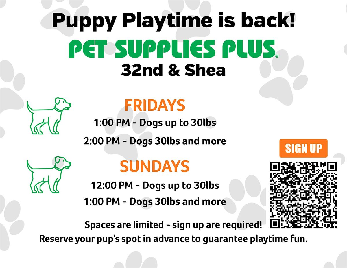 Puppy Play Time at Pet Supplies Plus!