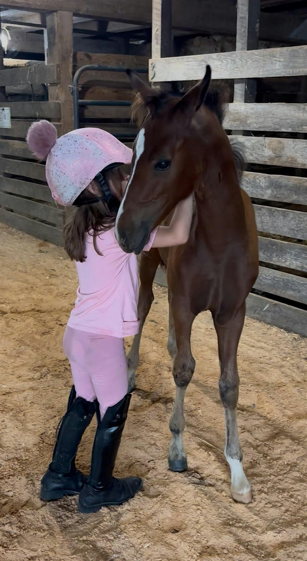 Pony Preschool Minis (age 2-7, 50lb limit)