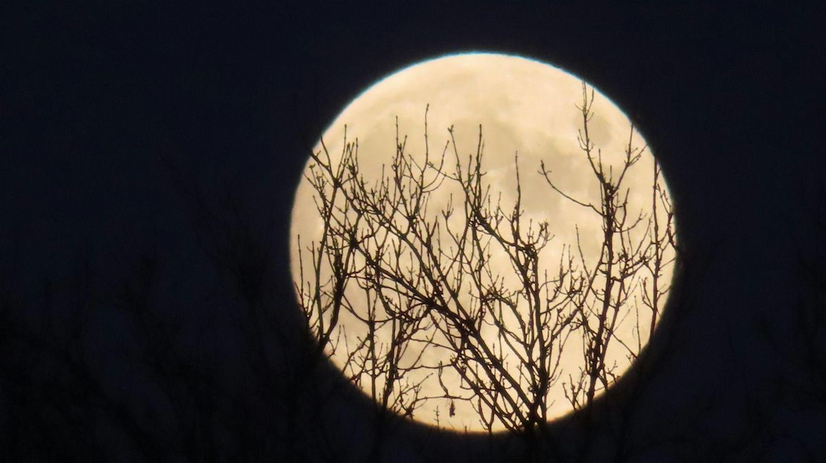 Guided Full Moon Meditation - The Cold Moon!