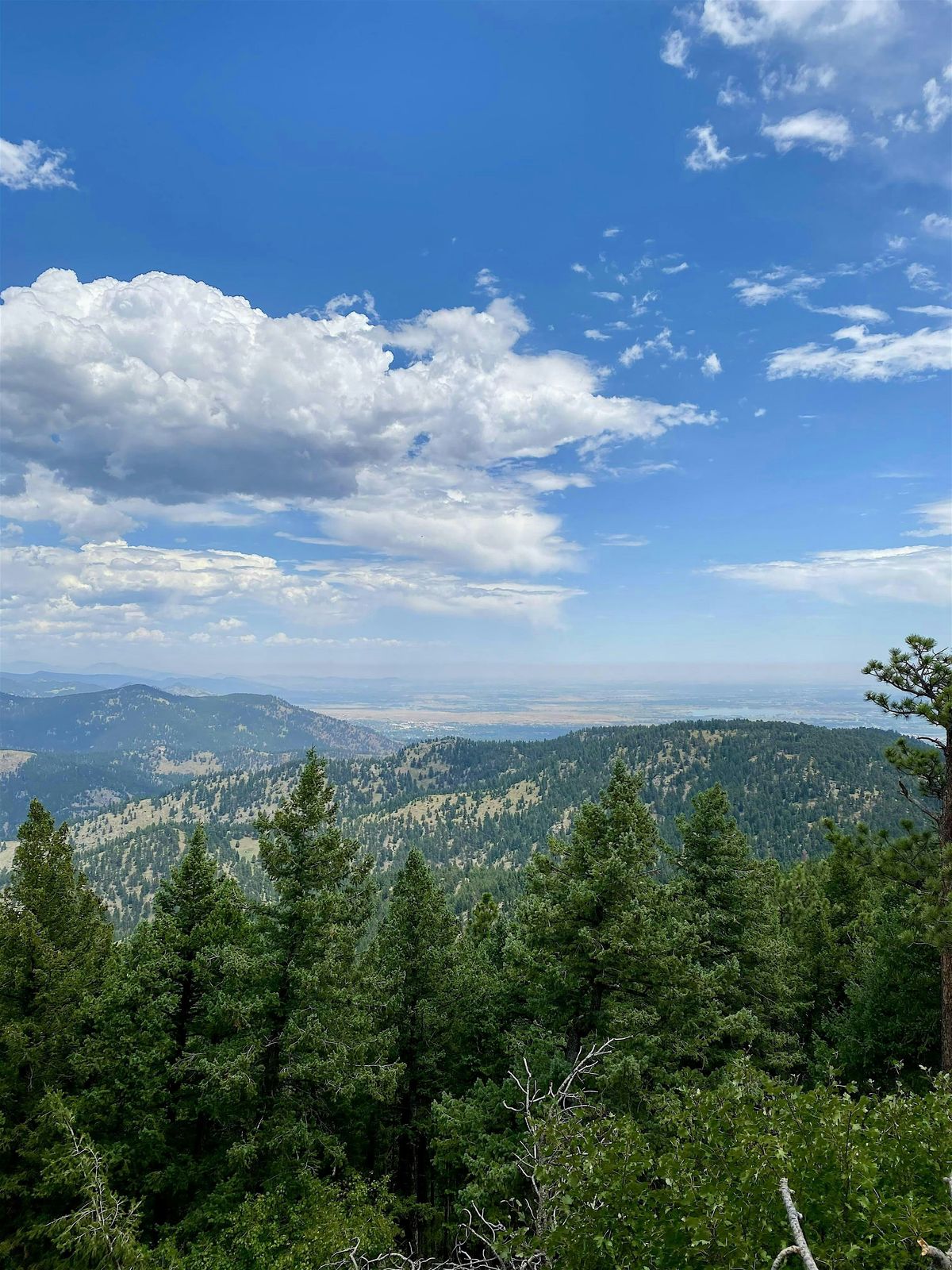 Free Nature Therapy Group