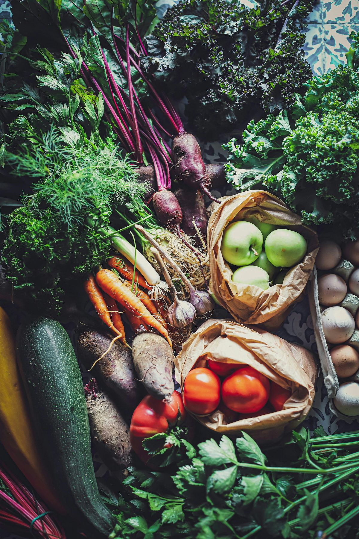Feed the Microbiome - Nutrition Workshop + Microbial Feast