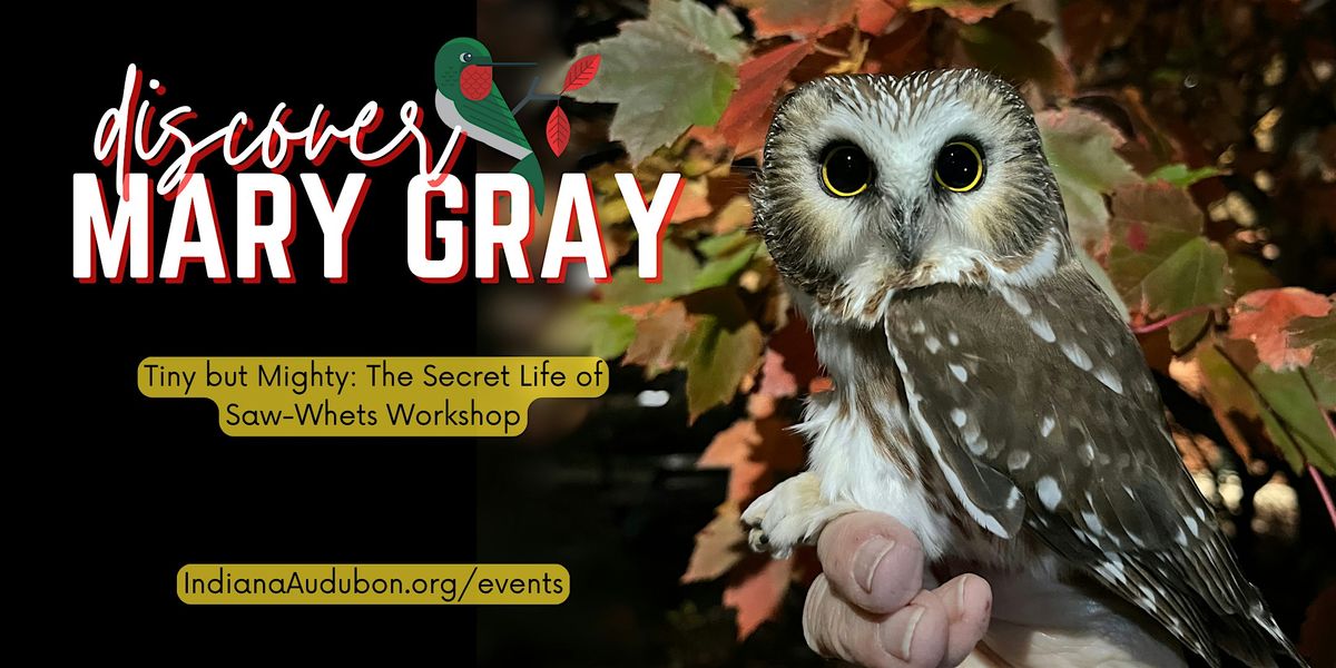 Discover Mary Gray Workshop Series: The Secret Life of Saw-whets