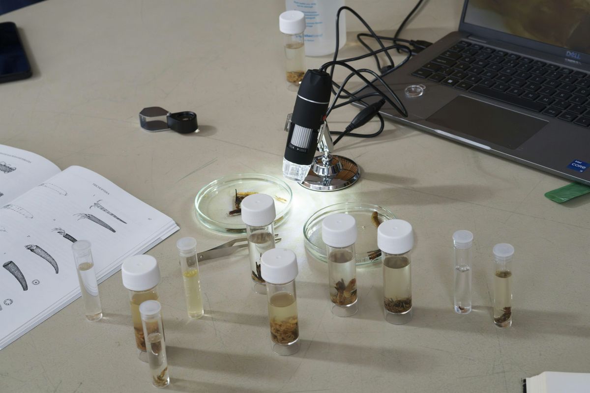 Riverfly Monitor Training
