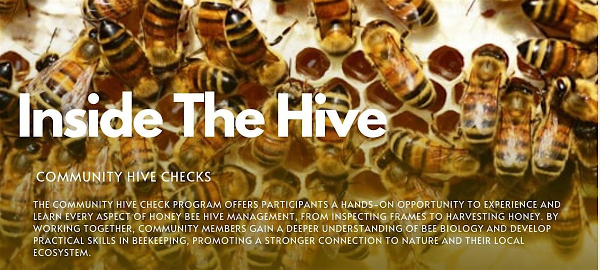 INSIDE THE HIVE - Community Hive Checks