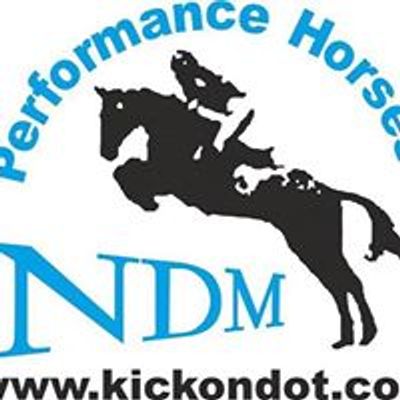 NDM Performance horses Kickondot.com