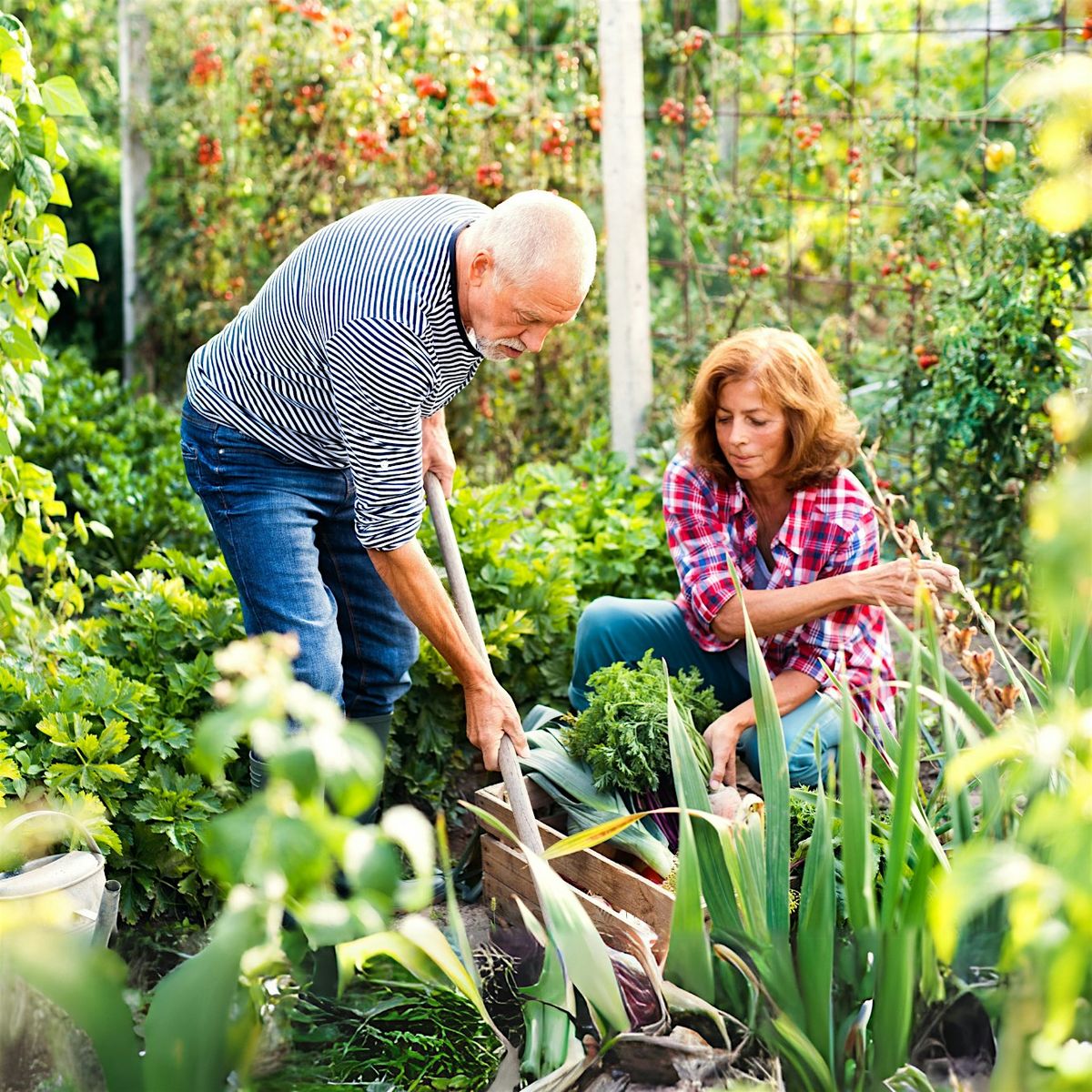 Gardeners' Hour: October