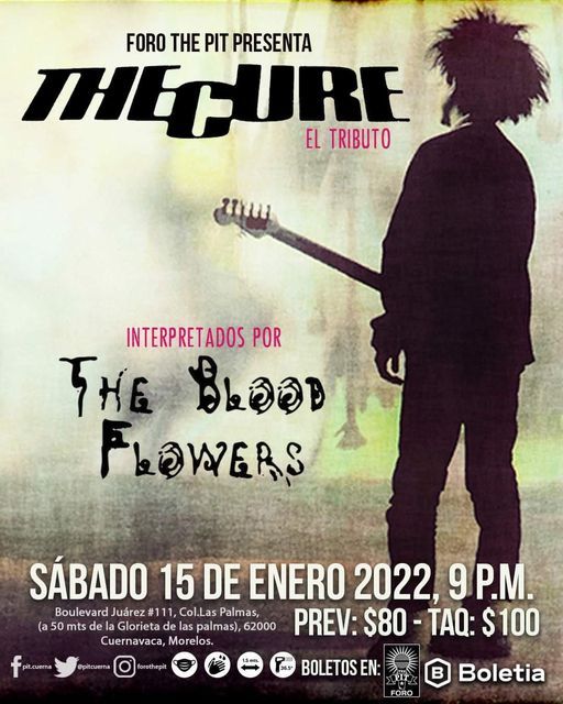 The Cure Tributo