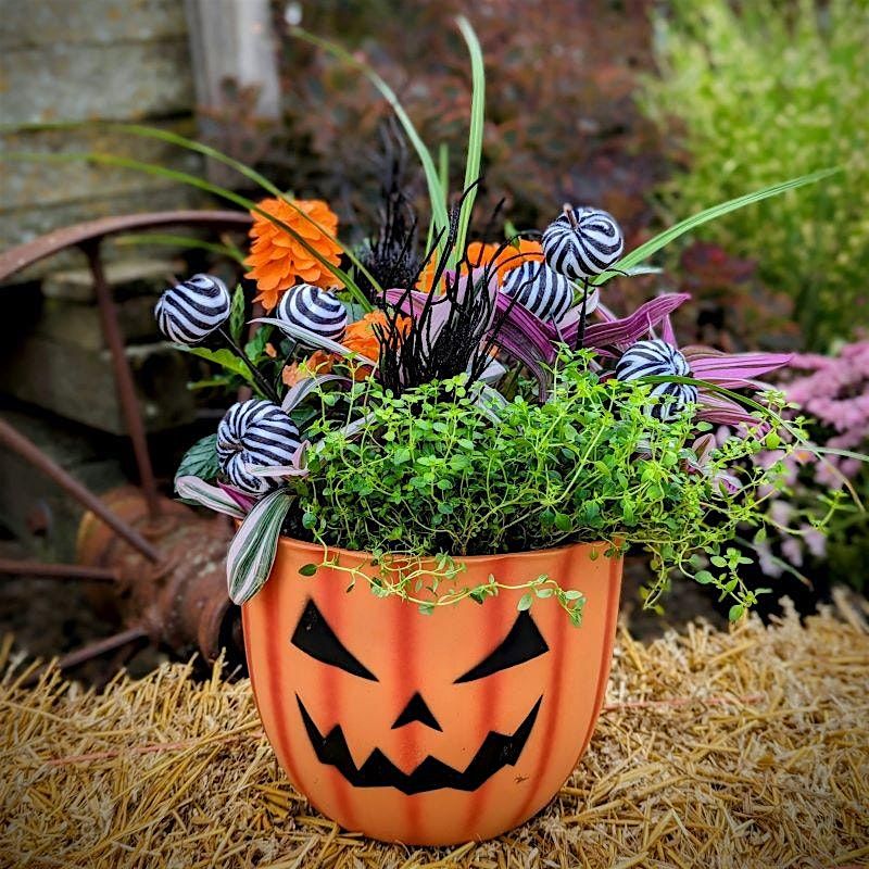 Halloween Planter Class