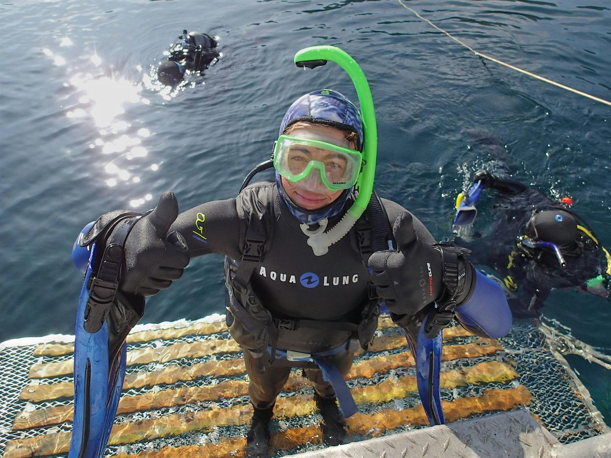 Clams, Kelp & Comebacks - Inside the Work of Restoring Life Underwater