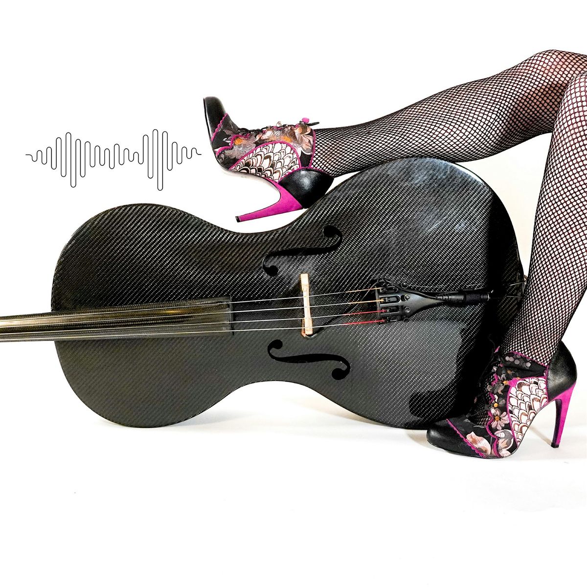 Renegade Orchestra at the London Nelson Community Center