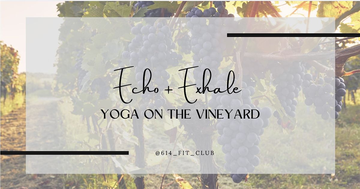 Echo and Exhale: Yoga at the Vineyard